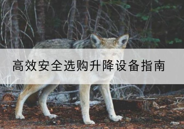 庐江升降货梯厂家推荐-*安全选购升降设备指南