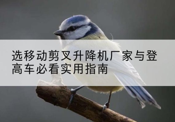 庐江电动升降机厂家-选移动剪叉升降机厂家与登高车必看实用指南