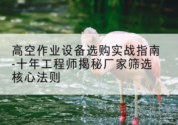 庐江剪叉式升降机厂家-高空作业设备选购实战指南-十年工程师揭秘厂家筛选核心法则